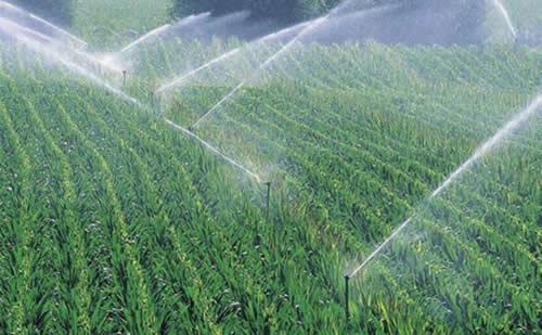 灌溉都分為哪幾種？原理是什么？