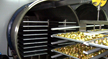 真空冷凍干燥機(jī)是什么？